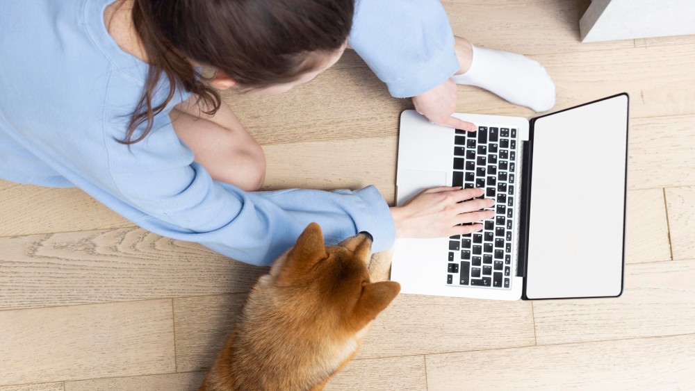 The Importance of Regular Vet Check-ups for Your Beloved Pet