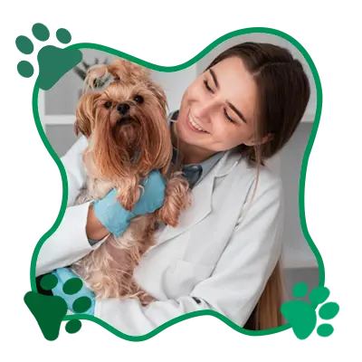 Support Pets